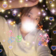 ヒメ日記 2025/10/17 14:28 投稿 しずく やんちゃな子猫日本橋本店