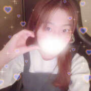 ヒメ日記 2025/10/24 16:36 投稿 しずく やんちゃな子猫日本橋本店