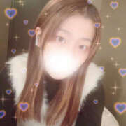 ヒメ日記 2025/10/27 17:45 投稿 しずく やんちゃな子猫日本橋本店