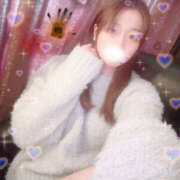 ヒメ日記 2025/10/28 15:49 投稿 しずく やんちゃな子猫日本橋本店