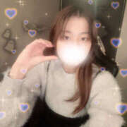 ヒメ日記 2025/10/29 16:36 投稿 しずく やんちゃな子猫日本橋本店