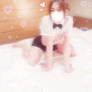 ヒメ日記 2025/11/03 16:10 投稿 しずく やんちゃな子猫日本橋本店