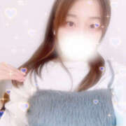 ヒメ日記 2025/11/08 12:35 投稿 しずく やんちゃな子猫日本橋本店