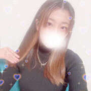 ヒメ日記 2025/11/09 14:44 投稿 しずく やんちゃな子猫日本橋本店