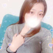 ヒメ日記 2025/11/13 18:22 投稿 しずく やんちゃな子猫日本橋本店