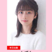 ヒメ日記 2025/12/01 16:50 投稿 しずく やんちゃな子猫日本橋本店