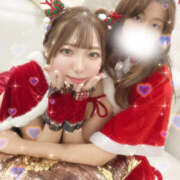 ヒメ日記 2025/12/03 00:05 投稿 しずく やんちゃな子猫日本橋本店