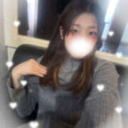 ヒメ日記 2025/12/07 16:16 投稿 しずく やんちゃな子猫日本橋本店