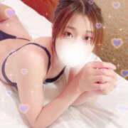 ヒメ日記 2025/12/13 14:39 投稿 しずく やんちゃな子猫日本橋本店