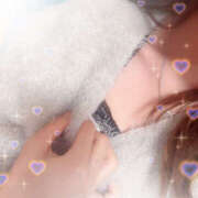 ヒメ日記 2025/12/14 17:44 投稿 しずく やんちゃな子猫日本橋本店