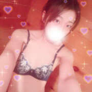 ヒメ日記 2025/12/15 18:10 投稿 しずく やんちゃな子猫日本橋本店