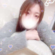 ヒメ日記 2025/12/16 18:00 投稿 しずく やんちゃな子猫日本橋本店