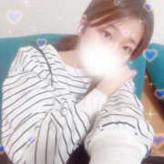 ヒメ日記 2025/12/17 16:50 投稿 しずく やんちゃな子猫日本橋本店