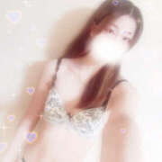 ヒメ日記 2026/01/07 10:52 投稿 しずく やんちゃな子猫日本橋本店