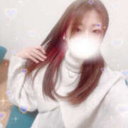 ヒメ日記 2026/01/08 15:01 投稿 しずく やんちゃな子猫日本橋本店