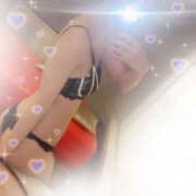 ヒメ日記 2026/01/15 16:41 投稿 しずく やんちゃな子猫日本橋本店