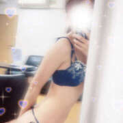 ヒメ日記 2026/01/28 08:00 投稿 しずく やんちゃな子猫日本橋本店