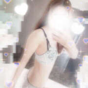 ヒメ日記 2026/02/01 08:00 投稿 しずく やんちゃな子猫日本橋本店