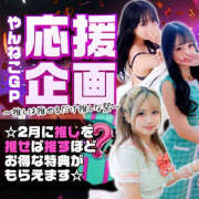 ヒメ日記 2026/02/03 19:56 投稿 しずく やんちゃな子猫日本橋本店