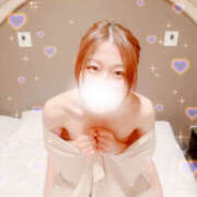 ヒメ日記 2026/02/04 11:42 投稿 しずく やんちゃな子猫日本橋本店