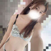 ヒメ日記 2026/02/05 09:28 投稿 しずく やんちゃな子猫日本橋本店