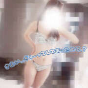 ヒメ日記 2026/02/08 08:00 投稿 しずく やんちゃな子猫日本橋本店