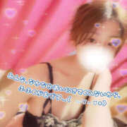 ヒメ日記 2026/02/11 12:02 投稿 しずく やんちゃな子猫日本橋本店