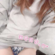 ヒメ日記 2026/03/06 16:24 投稿 しずく やんちゃな子猫日本橋本店