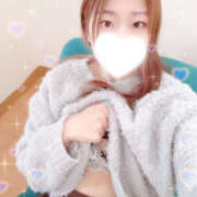 ヒメ日記 2026/03/09 13:23 投稿 しずく やんちゃな子猫日本橋本店