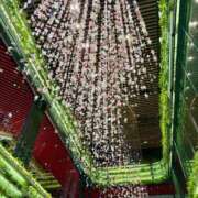 ヒメ日記 2025/06/26 11:23 投稿 かずこ 小山人妻隊