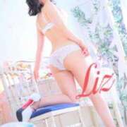 ヒメ日記 2025/08/23 14:04 投稿 リズ 桃李（とうり）