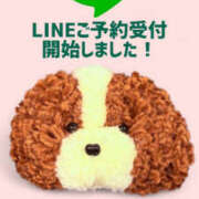 ヒメ日記 2025/07/01 15:23 投稿 琴葉 琥珀（こはく）