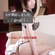 ヒメ日記 2025/08/14 13:24 投稿 琴葉 琥珀（こはく）