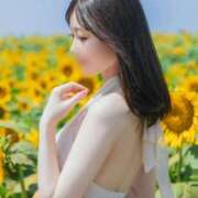 ヒメ日記 2025/08/16 15:20 投稿 琴葉 琥珀（こはく）