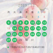 琴葉 ワオワオな日々 琥珀（こはく）