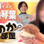 ヒメ日記 2026/02/16 07:42 投稿 琴葉 琥珀（こはく）