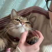 ヒメ日記 2026/02/20 11:39 投稿 くるり ハピネス＆ドリーム 松山道後温泉