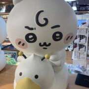 ヒメ日記 2025/10/23 14:00 投稿 まつり なでしこ(十三)