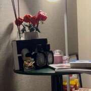 ヒメ日記 2025/12/16 10:38 投稿 まつり なでしこ(十三)