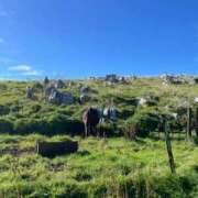 ヒメ日記 2025/12/31 19:36 投稿 まつり なでしこ(十三)