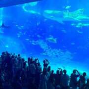 ヒメ日記 2025/10/21 18:33 投稿 桃乃木 あくあ やみつきエステ 渋谷店