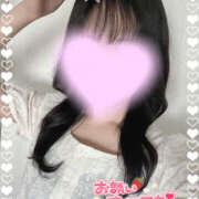 ヒメ日記 2025/07/24 13:34 投稿 くるみ やんちゃな子猫日本橋本店