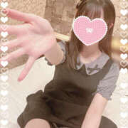 ヒメ日記 2025/07/31 07:37 投稿 くるみ やんちゃな子猫日本橋本店