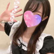 ヒメ日記 2025/08/11 21:19 投稿 くるみ やんちゃな子猫日本橋本店