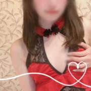 ヒメ日記 2025/08/12 15:17 投稿 くるみ やんちゃな子猫日本橋本店