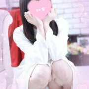 ヒメ日記 2025/08/15 16:20 投稿 くるみ やんちゃな子猫日本橋本店