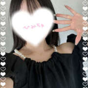 ヒメ日記 2025/08/18 17:09 投稿 くるみ やんちゃな子猫日本橋本店