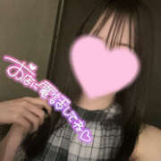 ヒメ日記 2025/08/21 20:26 投稿 くるみ やんちゃな子猫日本橋本店