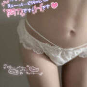 ヒメ日記 2025/08/24 09:15 投稿 くるみ やんちゃな子猫日本橋本店