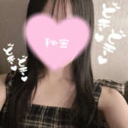 ヒメ日記 2025/09/02 17:11 投稿 くるみ やんちゃな子猫日本橋本店